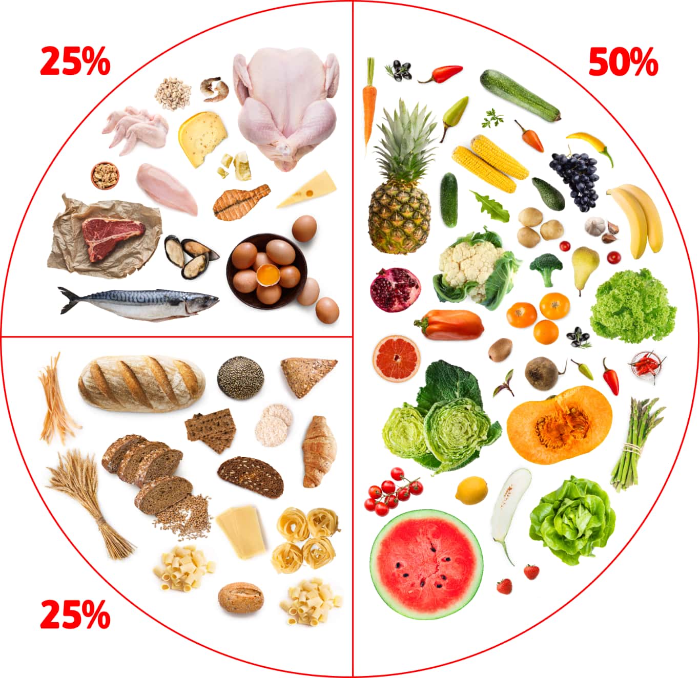 Tableau des principaux aliments consommés chaque jour que le guide alimentaire canadien recommande. Une description détaillée sera disponible après l’image.